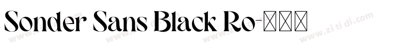 Sonder Sans Black Ro字体转换